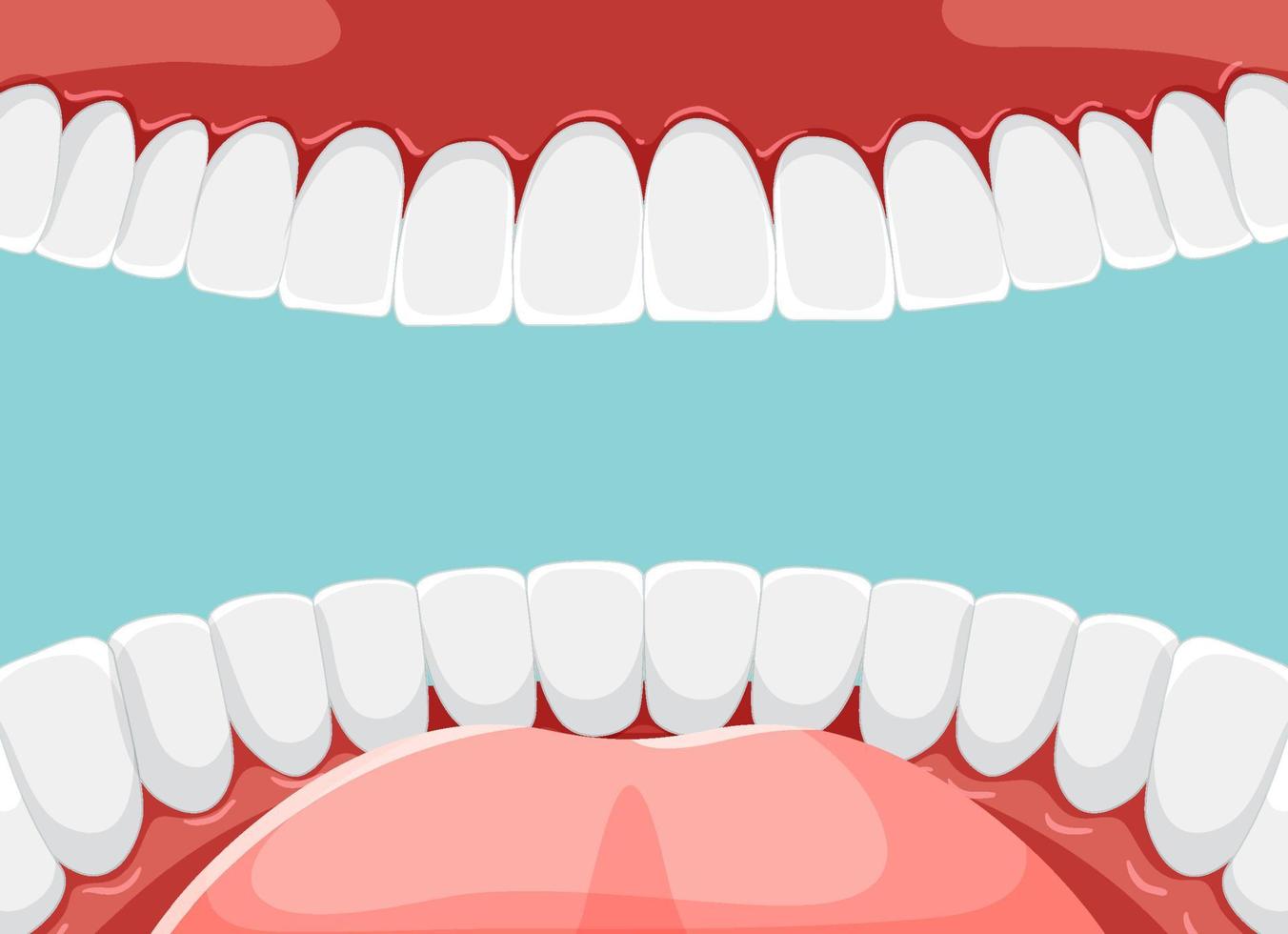 denti umani all'interno della bocca con denti sbiancanti vettore