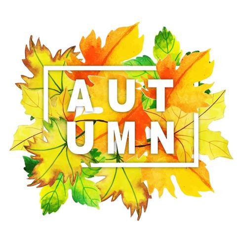Acquerello tipografia autunno con cornice di foglie vettore