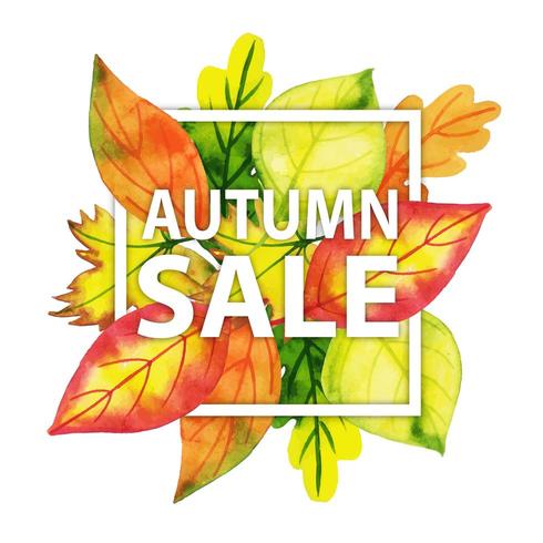 Acquerello tipografia autunno con cornice di foglie vettore