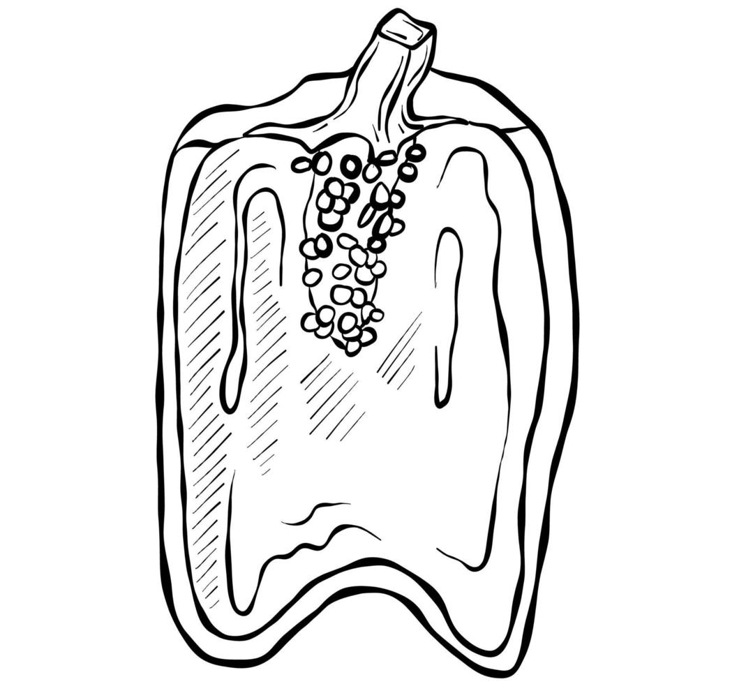 schizzo disegnato a mano vettore