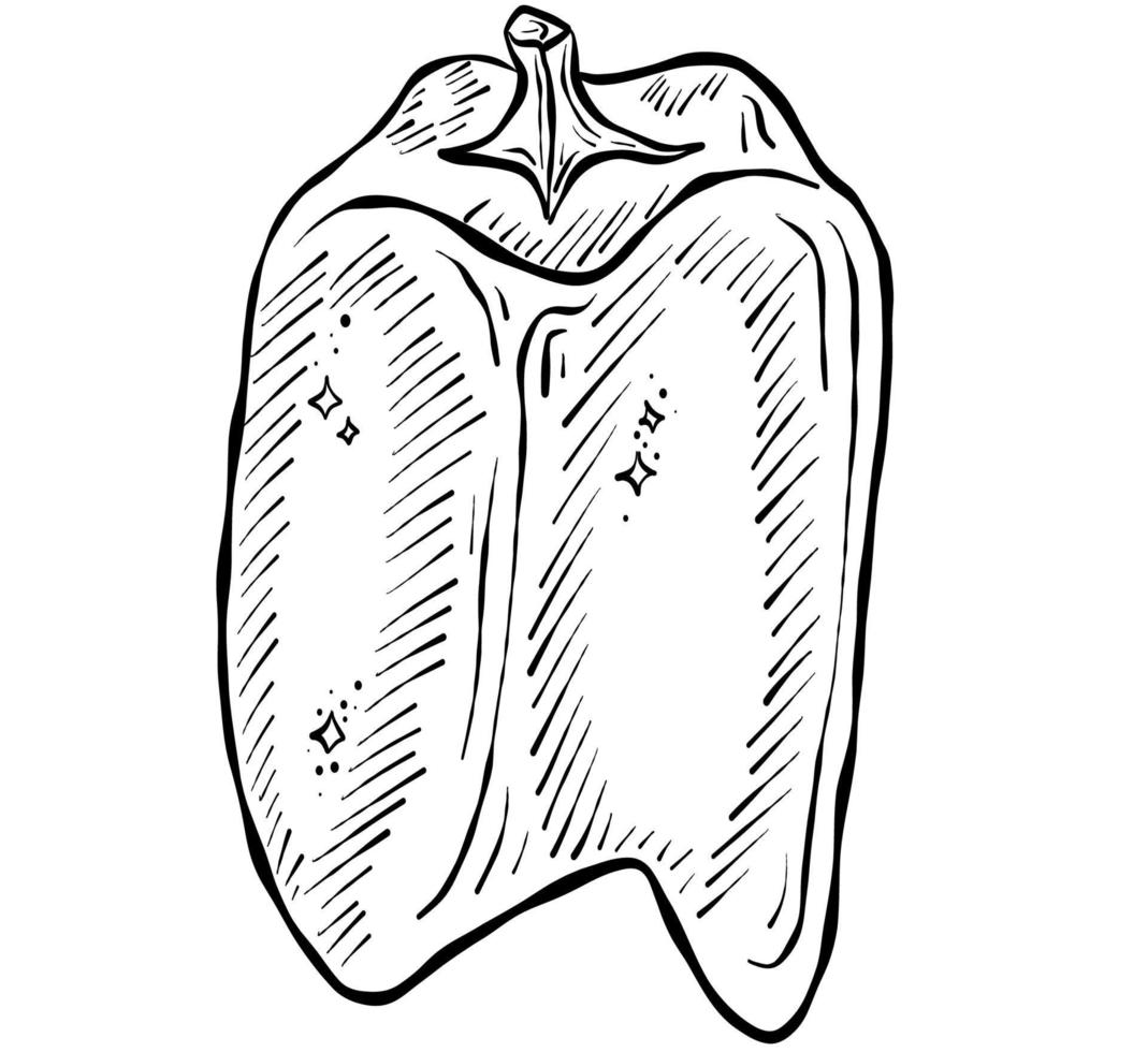 schizzo disegnato a mano vettore