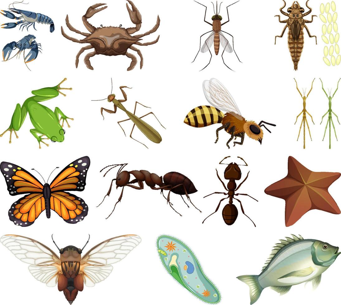 diversi tipi di insetti e animali su sfondo bianco vettore