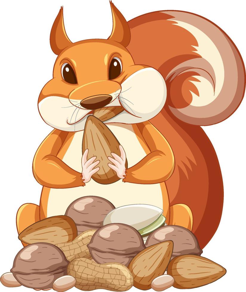 scoiattolo simpatico cartone animato che mangia arachidi su sfondo bianco vettore