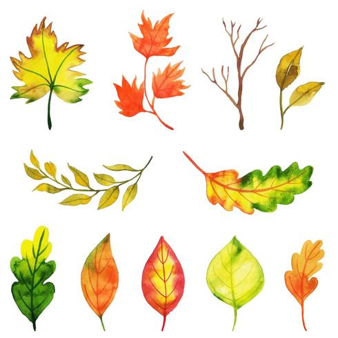 Collezione di foglie d&#39;autunno vettore