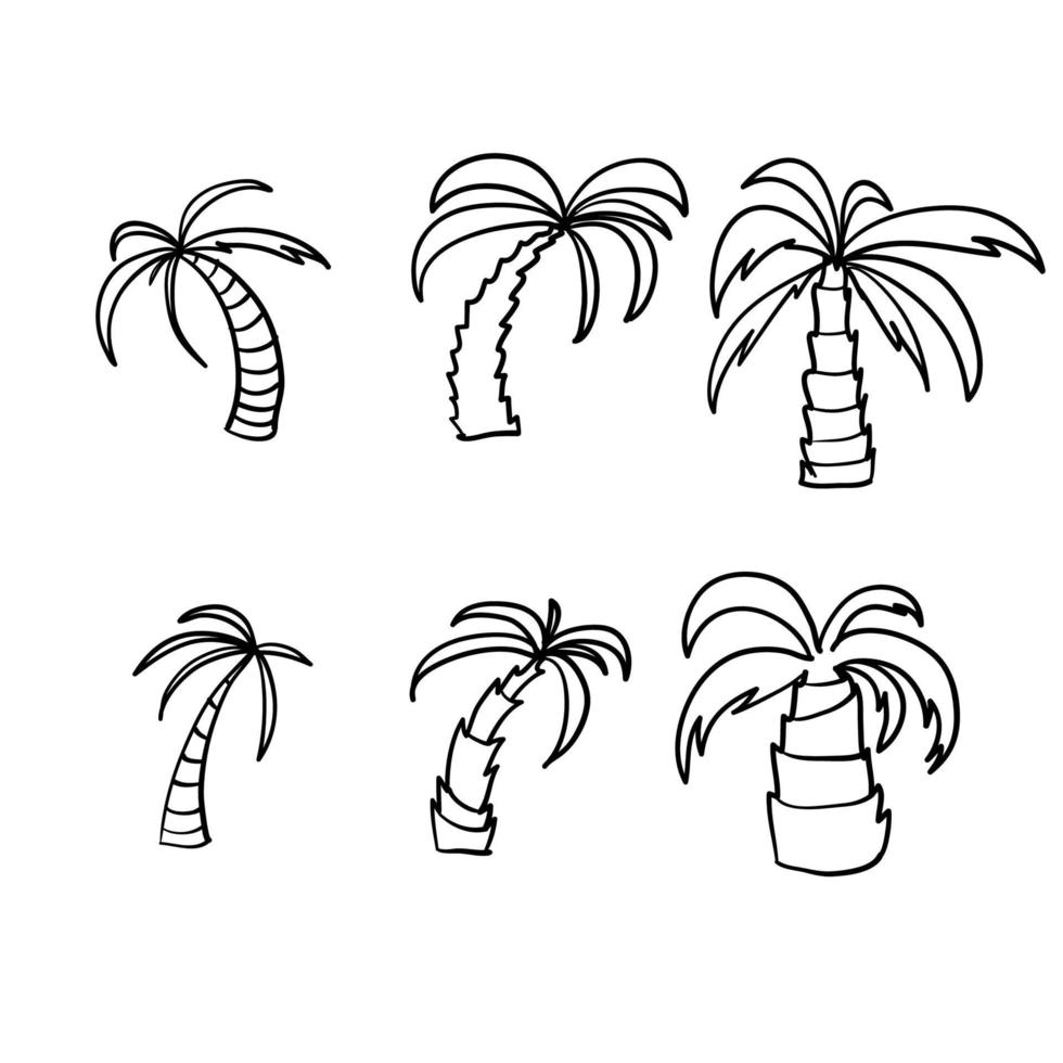 set di illustrazioni di palme disegnate a mano con vettore stile doodle line art isolato su bianco