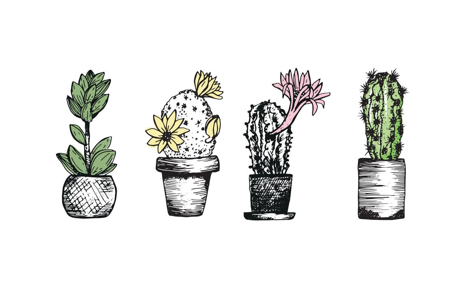 set di schizzi di cactus. piante da appartamento in vaso. hobby a casa. decorazione botanica per interni. Illustrazione vettoriale su sfondo bianco