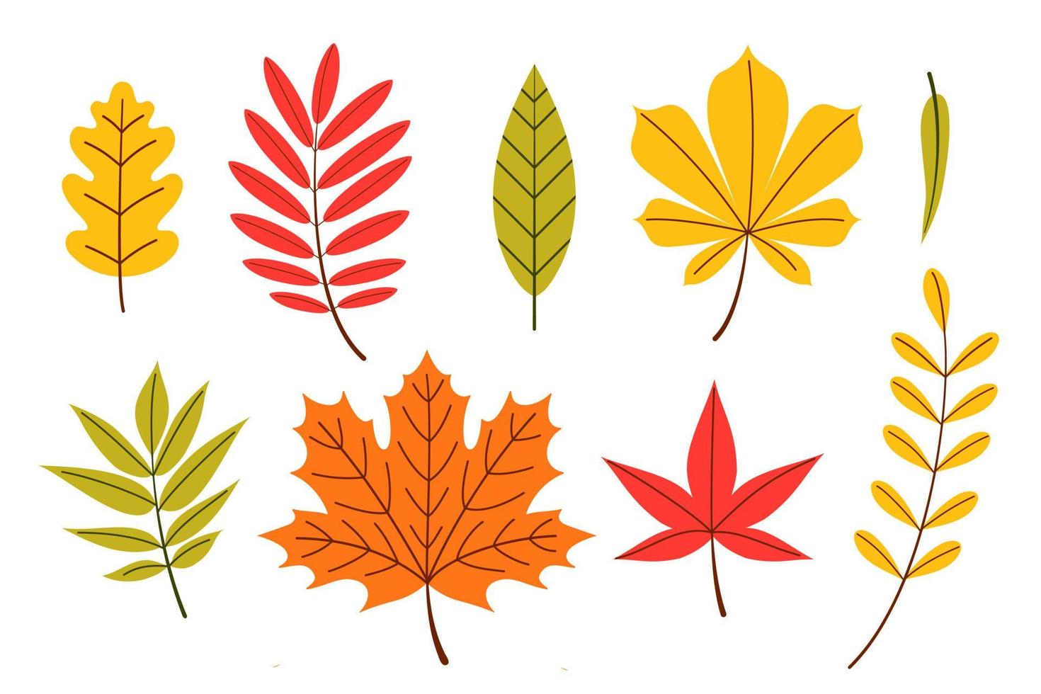 set di foglie autunnali, illustrazione vettoriale in stile cartone animato piatto