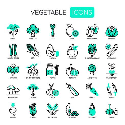 Set di linea sottile vegetale e icone perfette pixel per qualsiasi progetto web e app. vettore