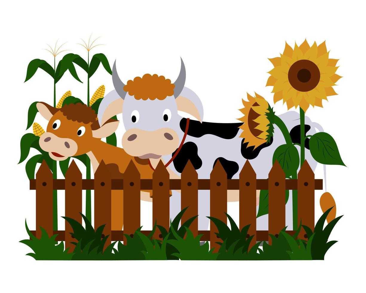 animali della fattoria, una mucca e un vitello sono in piedi davanti al recinto, girasoli e mais stanno fiorendo. illustrazione di una campagna estiva, una bella fattoria. vettore