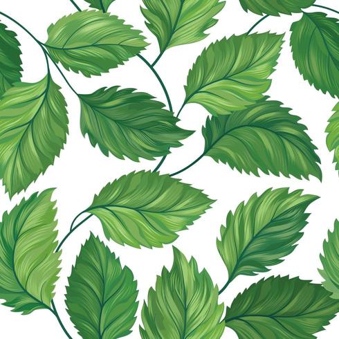 Seamless pattern floreale verde foglia vettore