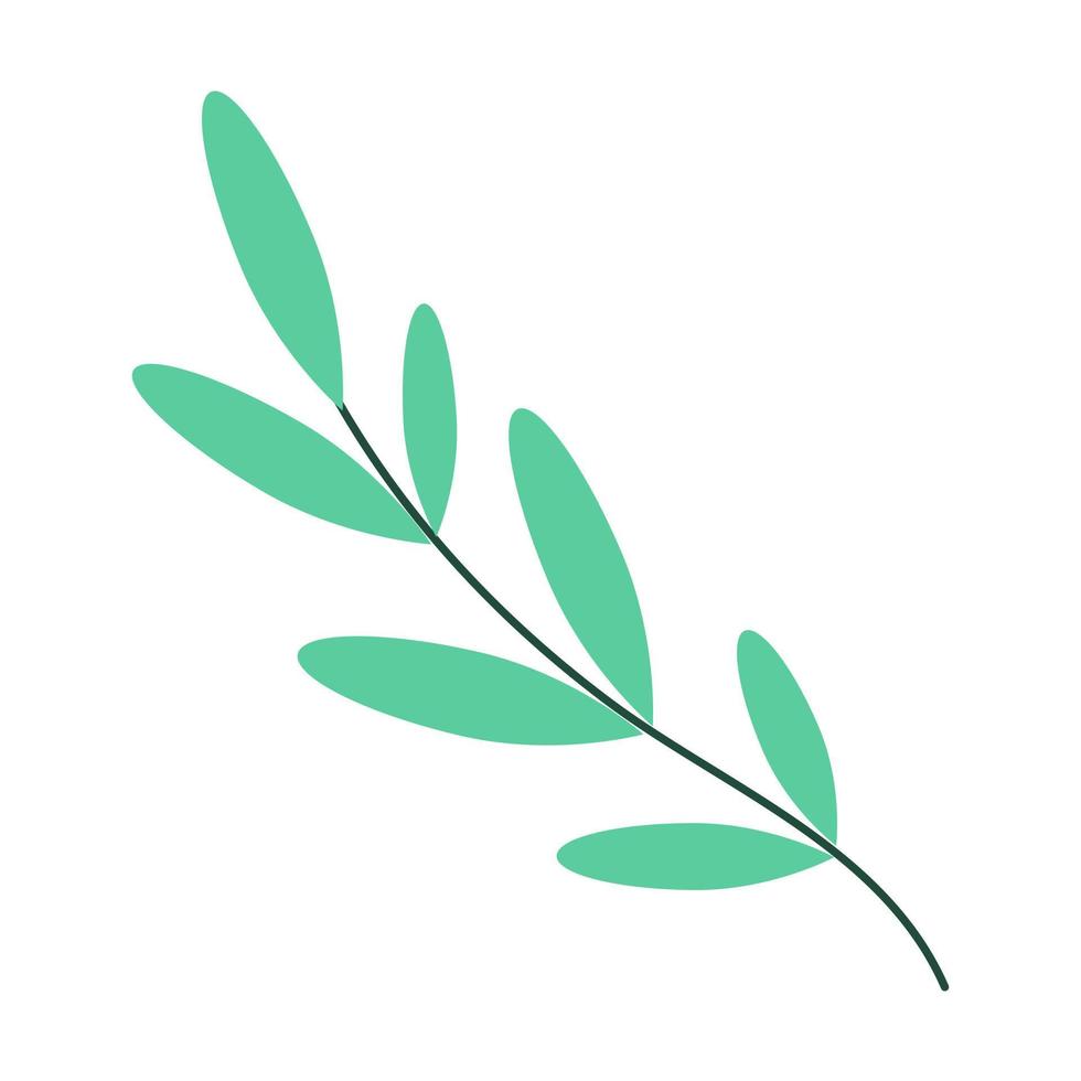 ramo con foglie verdi su sfondo bianco. vettore