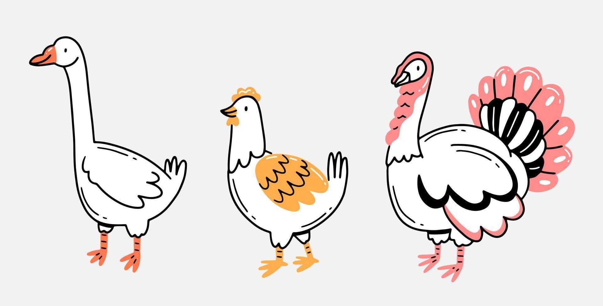 oca, pollo e tacchino in stile doodle disegnato a mano lineare. uccelli domestici in stile cartone animato. illustrazione animale isolata vettoriale. vettore