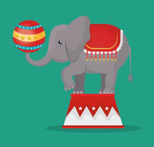 Icona di spettacolo del circo elefante vettore