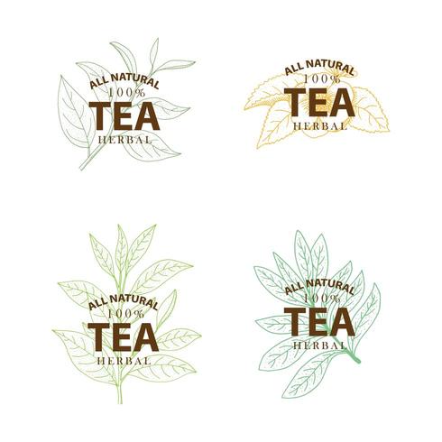 Tea Tree. Set di etichette vintage disegnati a mano isolato su sfondo bianco. vettore