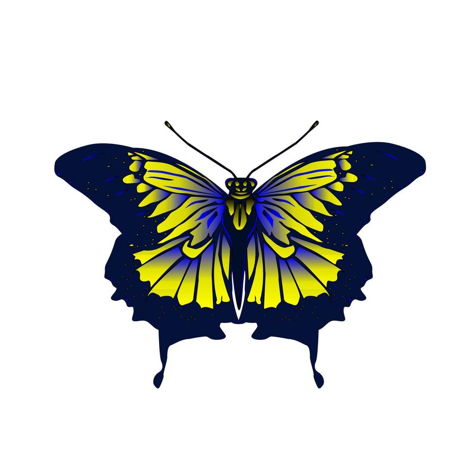 farfalla tropicale blu-gialla. vettore