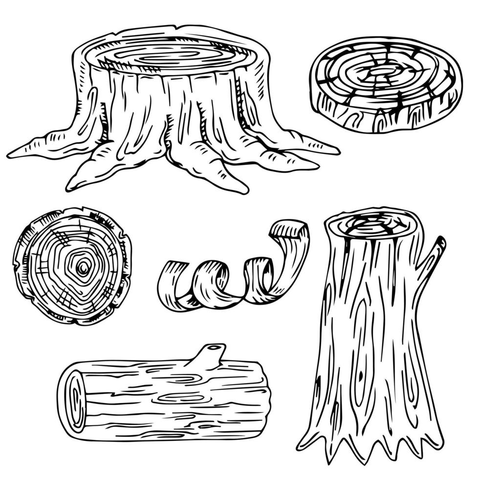 legno, materiali ardenti. raccolta di illustrazione dello schizzo vettoriale. materiali per l'industria del legno. ceppo, ramo, legno. legname di legno vettore