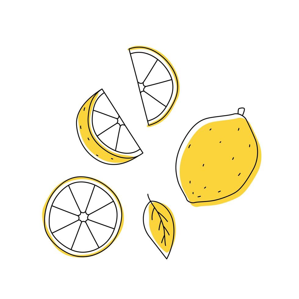 doodle contorno di limone con macchie. intero, pezzi e foglie vettore