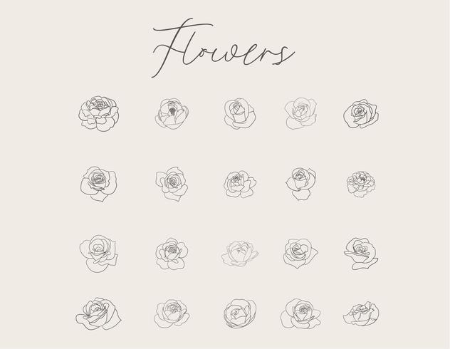 Set di fiori di disegno a mano vettore
