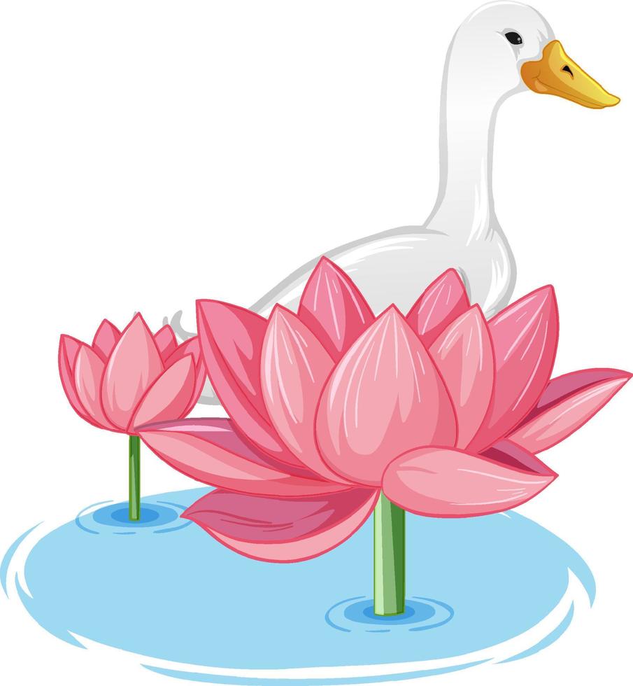 un'anatra dietro il fiore di loto su sfondo bianco vettore