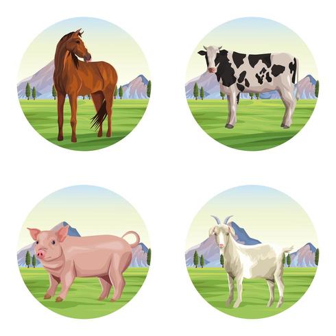 cartoni animati di animali da fattoria vettore