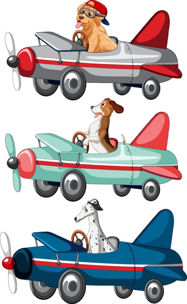 set di cani diversi che guidano aereo su sfondo bianco vettore