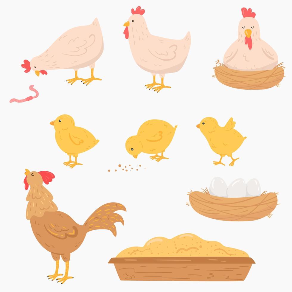set di cartoni animati di pollo vettore