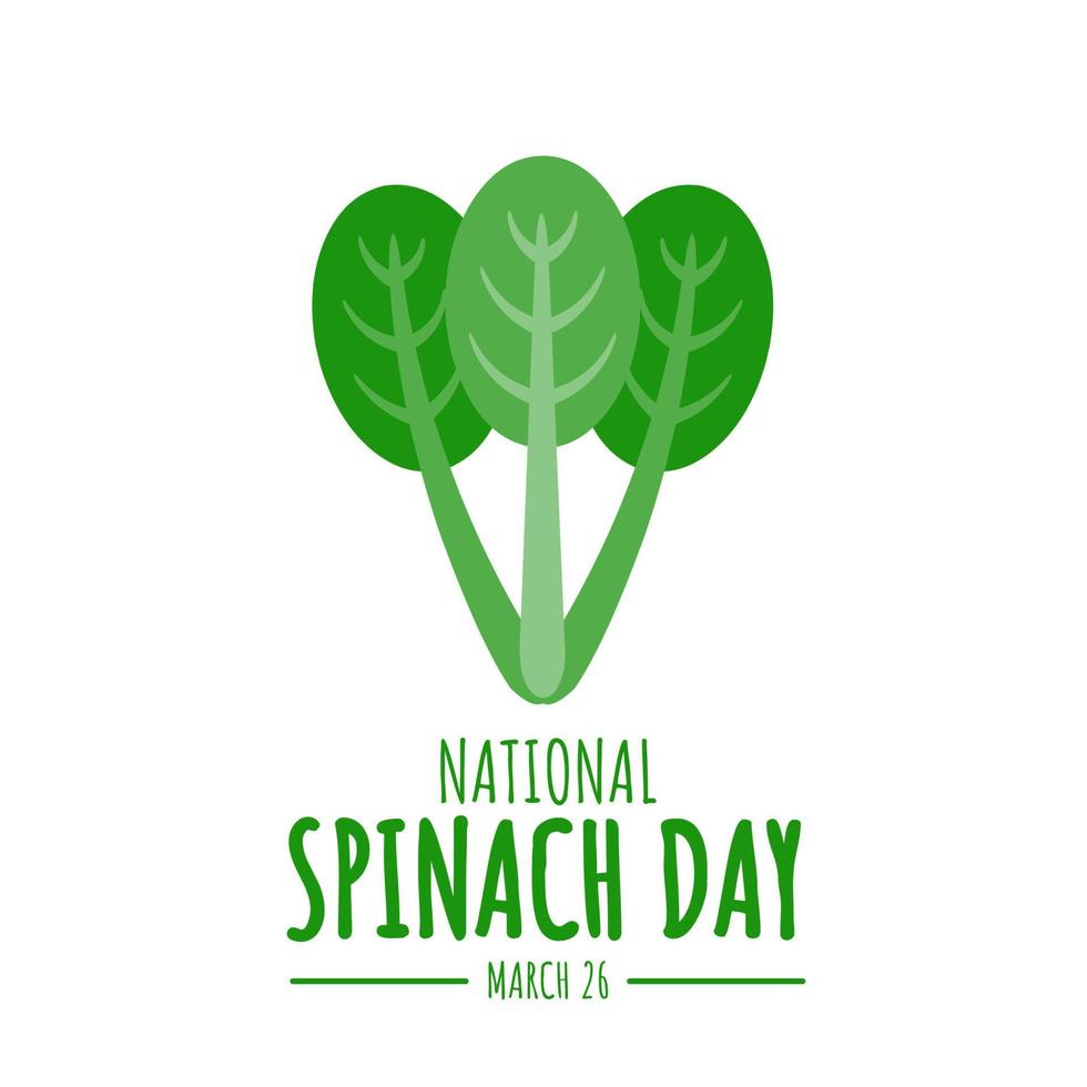 foglia di spinaci in stile piatto isolata su uno sfondo bianco, come banner, poster o modello, giornata nazionale degli spinaci. illustrazione vettoriale. vettore