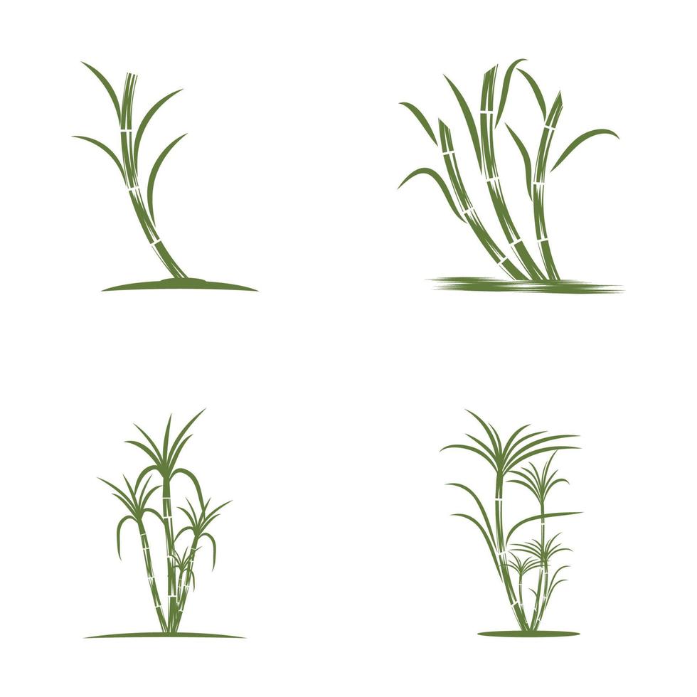 Natura di simbolo di vettore del modello di logo della canna da zucchero