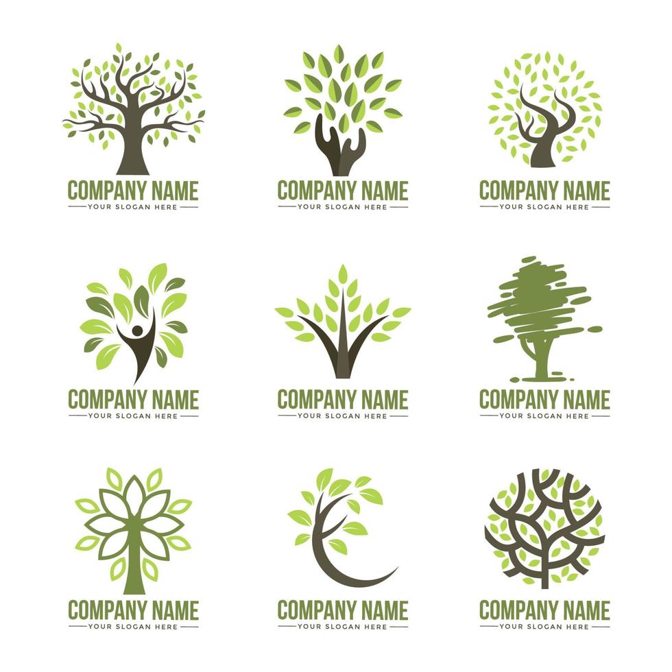 collezione logo albero vettore