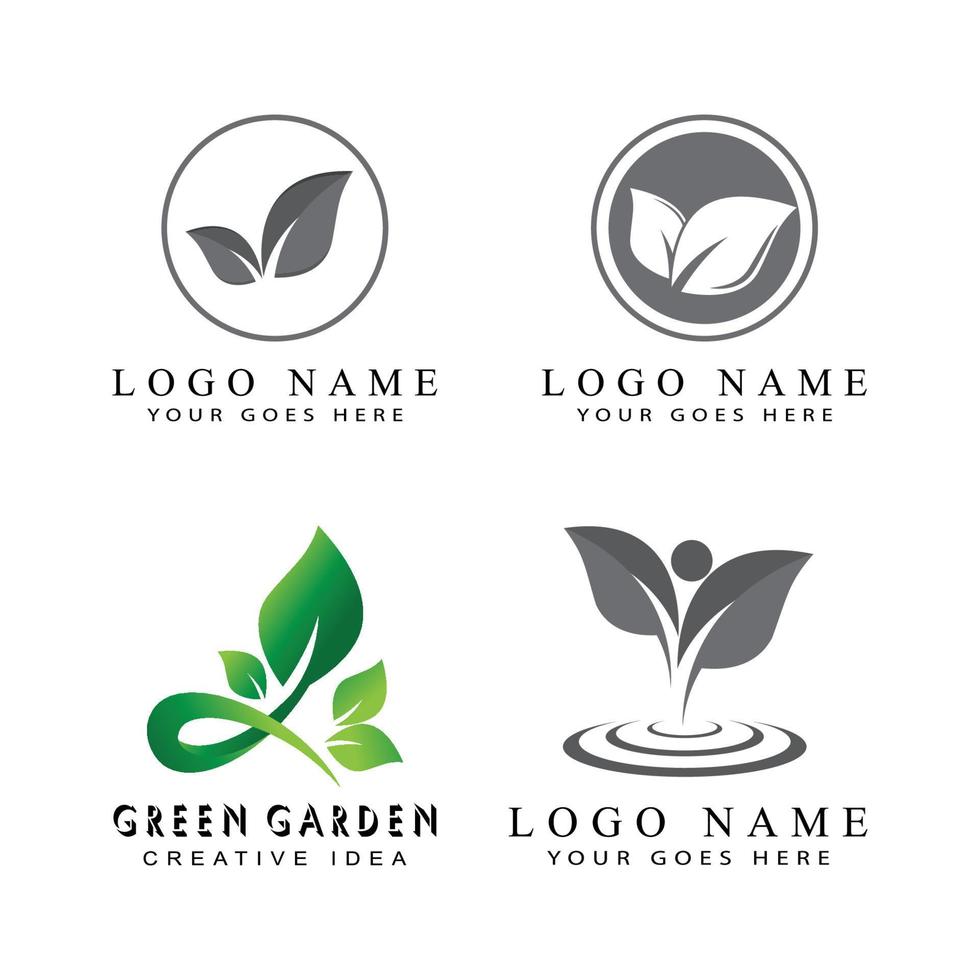 foglia icona illustrazione vettoriale design logo modello