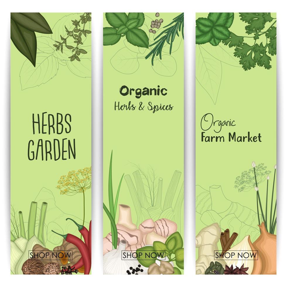 illustrazione vettoriale di banner verticale con spezie ed erbe aromatiche