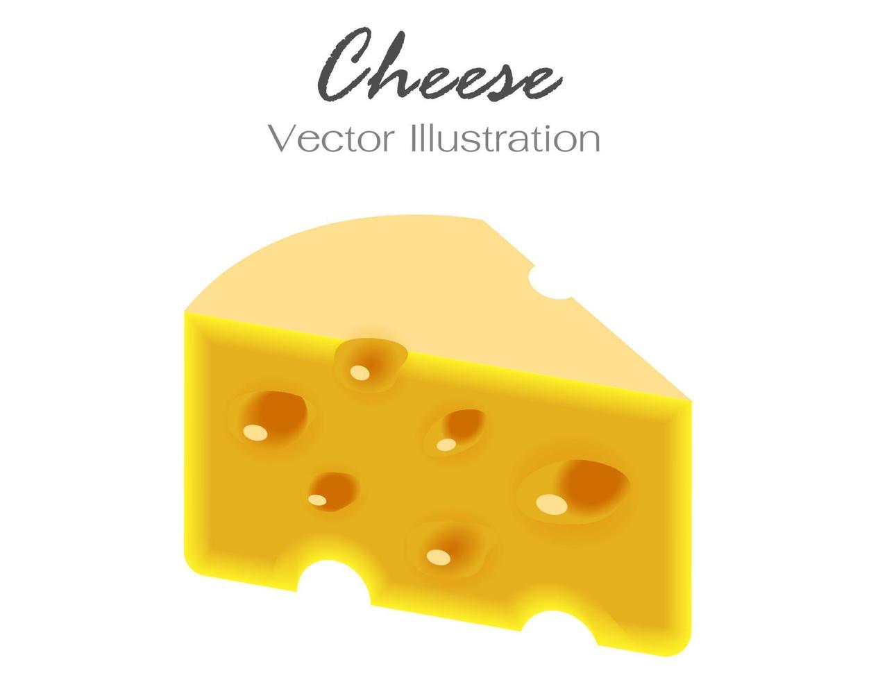 pezzo di formaggio isolato su sfondo bianco vettore