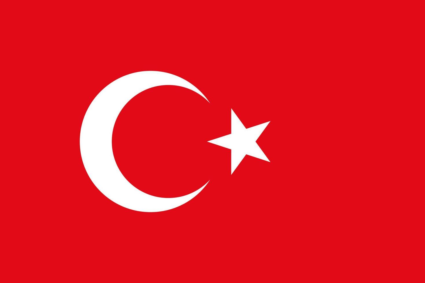 bandiera turchia dimensioni standard in asia. illustrazione vettoriale