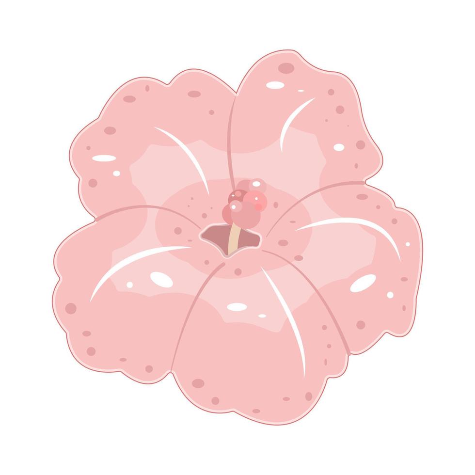 fiore rosa tropicale. illustrazione vettoriale. vettore