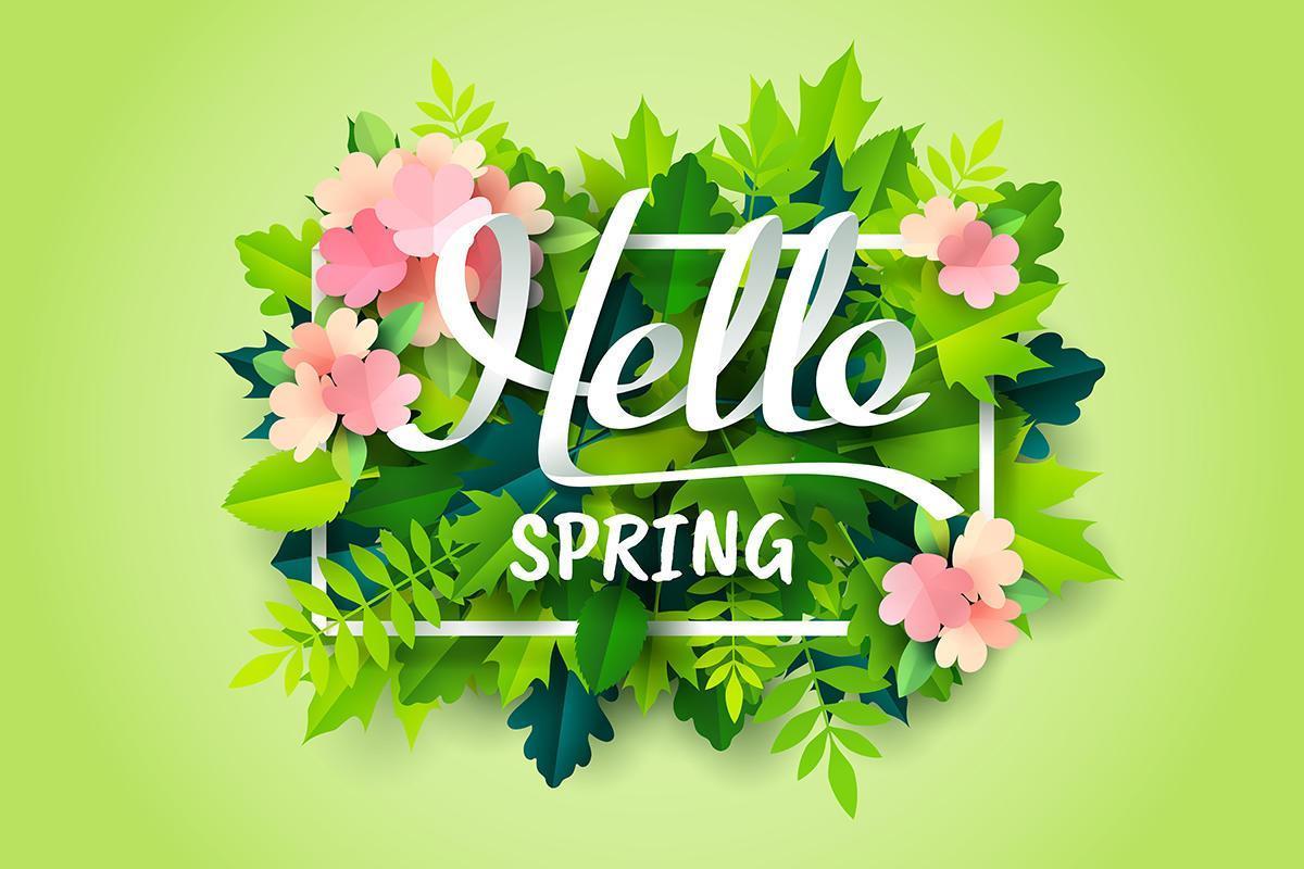 Arte di carta della calligrafia Hello Spring in cornice bianca su foglie verdi e fiori vettore