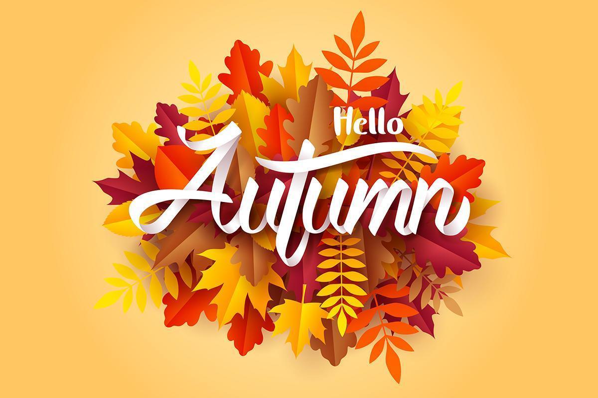 Arte di carta di Hello Autumn calligrafia su foglie cadute vettore