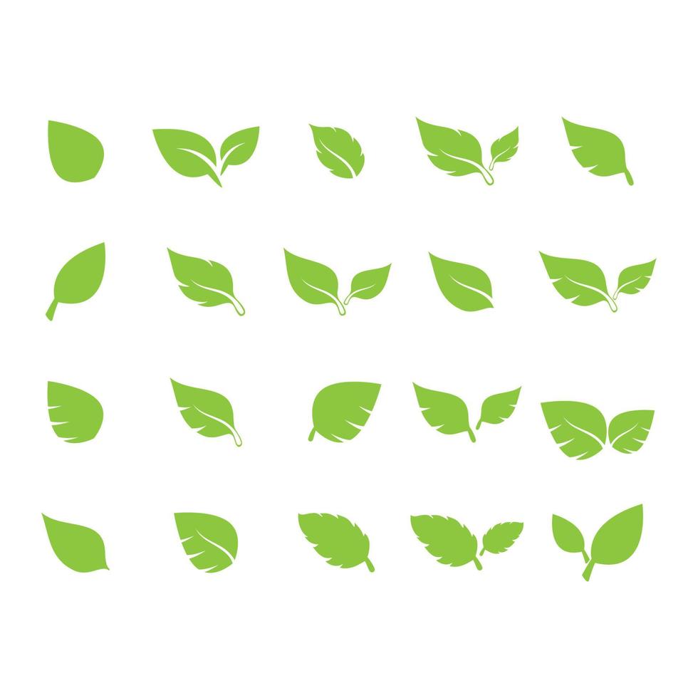 pacchetto di raccolta completo di vettore di logo simbolo foglia verde unico