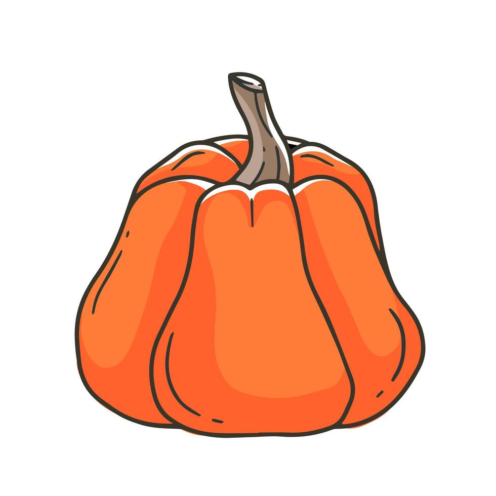 zucca grassa arancione in semplice stile doodle cartone animato. illustrazione vettoriale. vettore