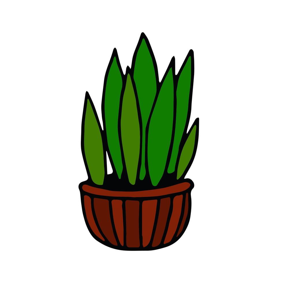 pianta d'appartamento in vaso disegnata a mano in stile doodle. elemento vettore gra
