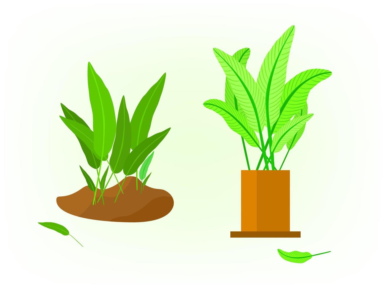 elemento vegetale foglia fiore tropicale per illustrazione vettoriale decorativo