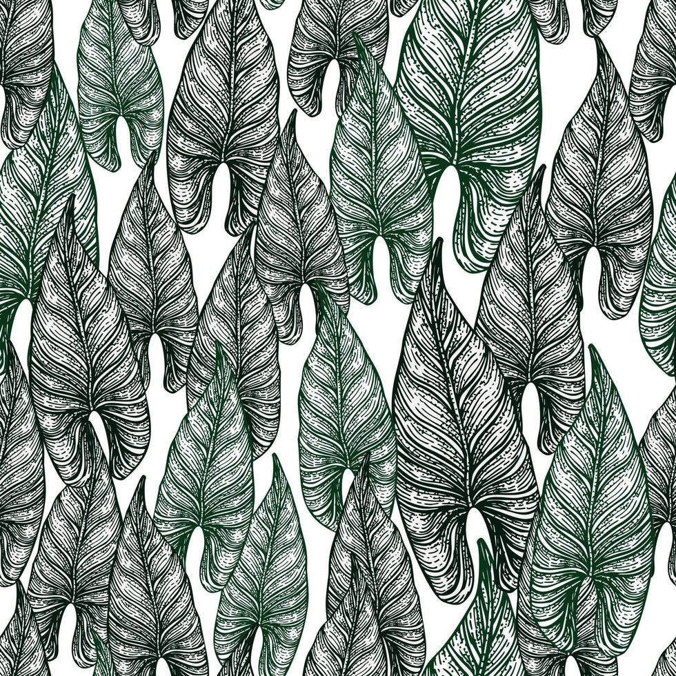 incisione foglia Araceae motivo senza cuciture. sfondo di foglie d'epoca. vettore