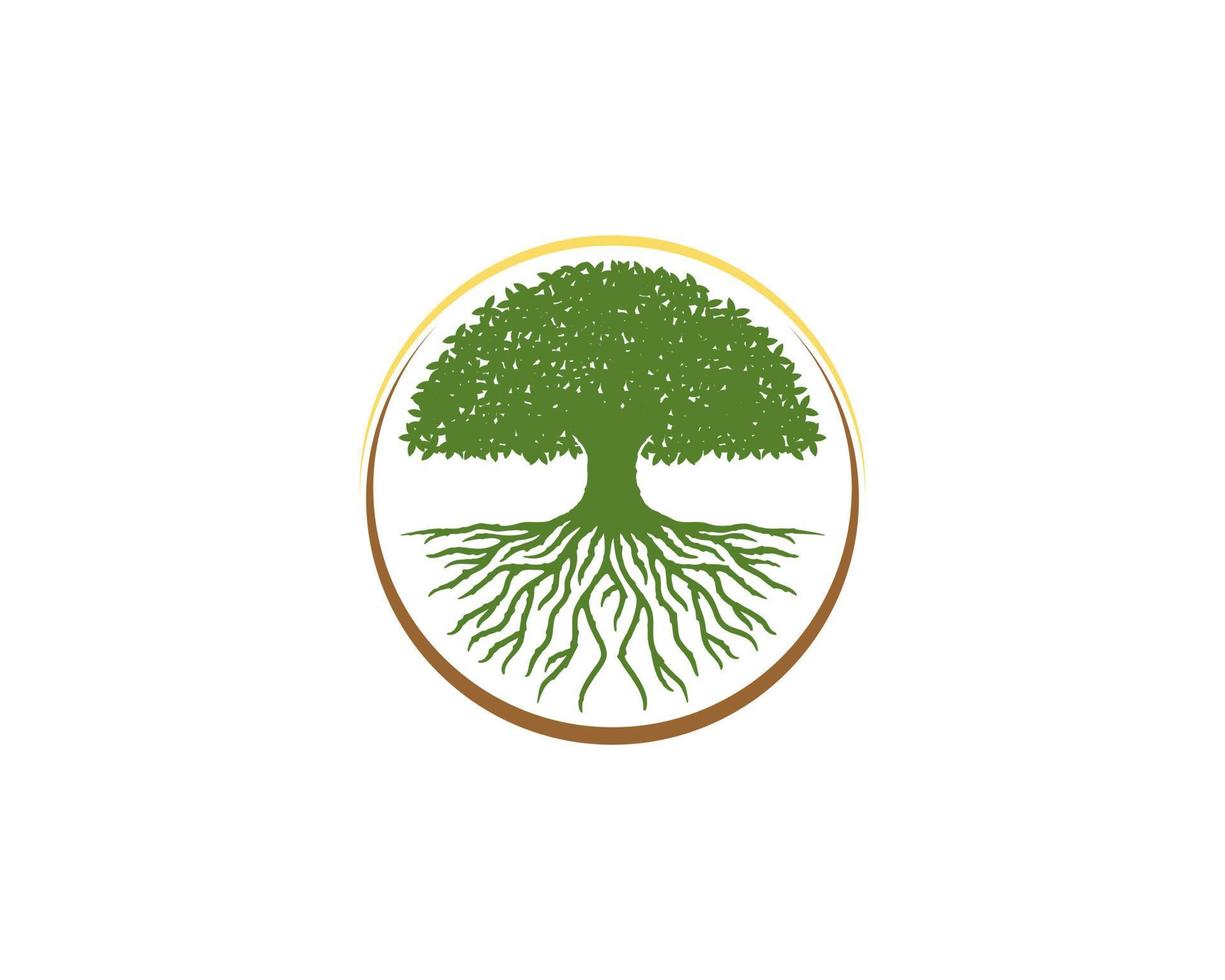 albero denso e radici all'interno del logo del cerchio vettore