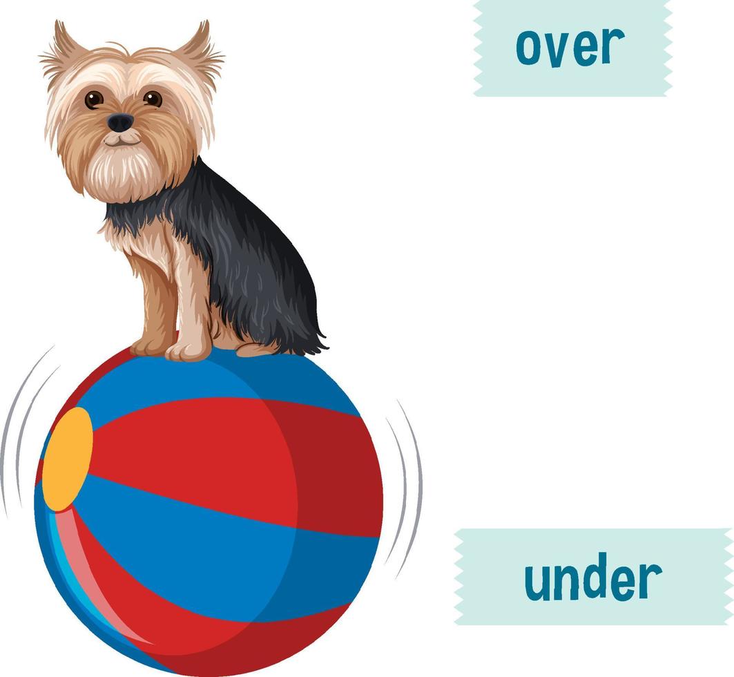 preposizione wordcard con cane sulla palla vettore