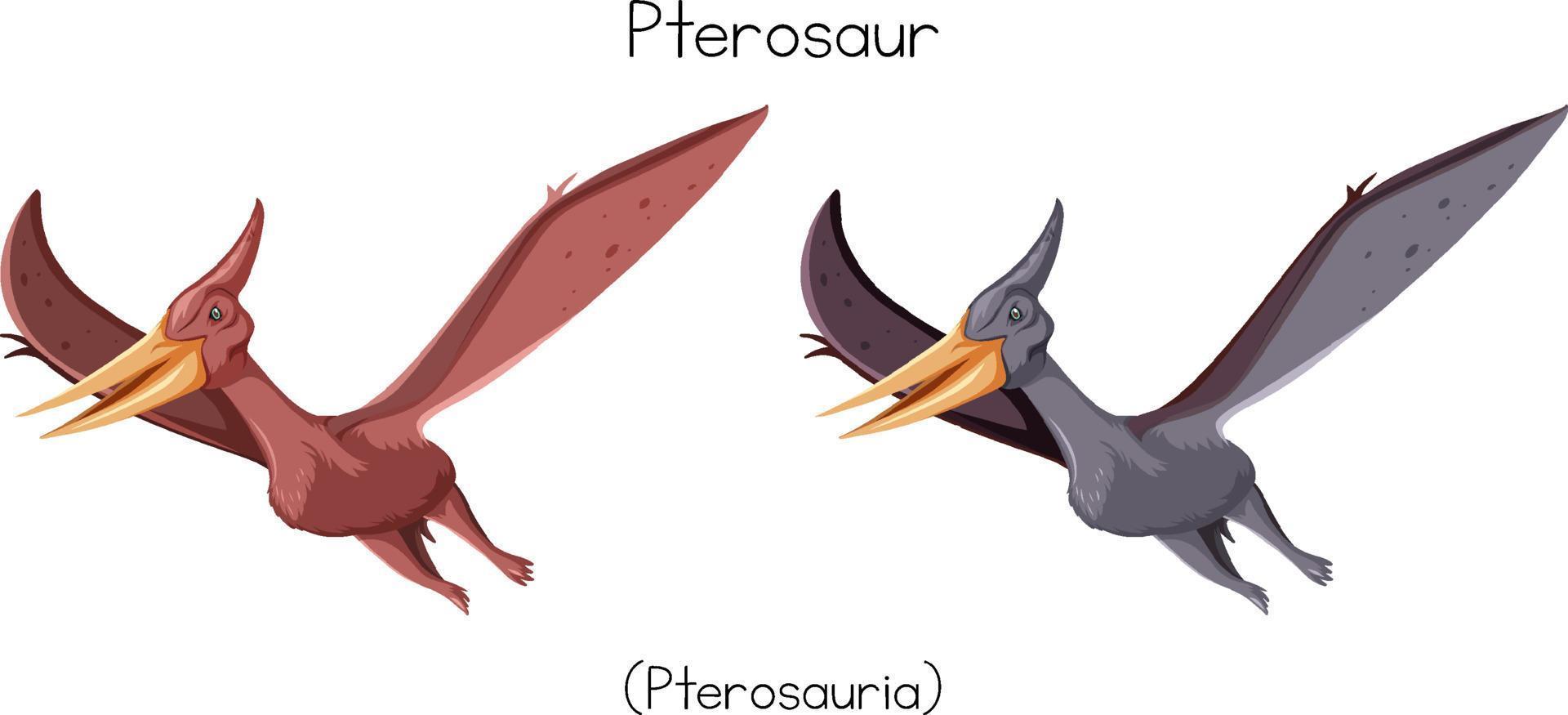 pterosauri in due colori vettore