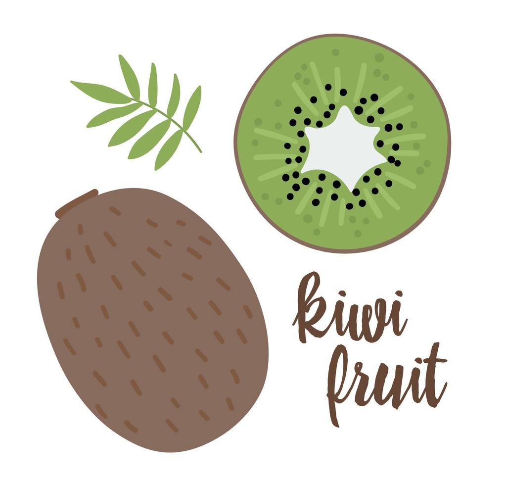 ClipArt vettoriali kiwi. illustrazione della frutta della giungla. piante esotiche piatte disegnate a mano isolate su sfondo bianco. illustrazione di cibo estivo tropicale sano infantile luminoso.