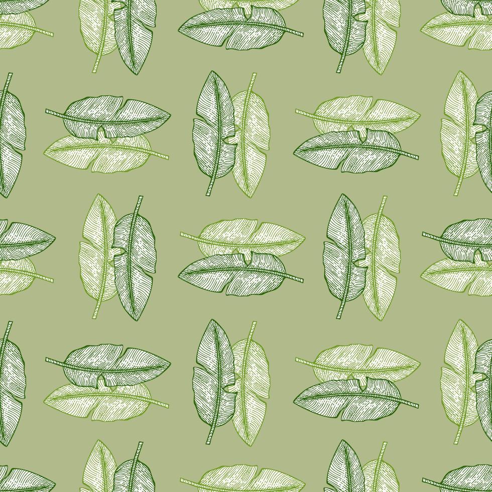 foglia di banana seamless pattern.vintage ramo tropicale in stile incisione. vettore