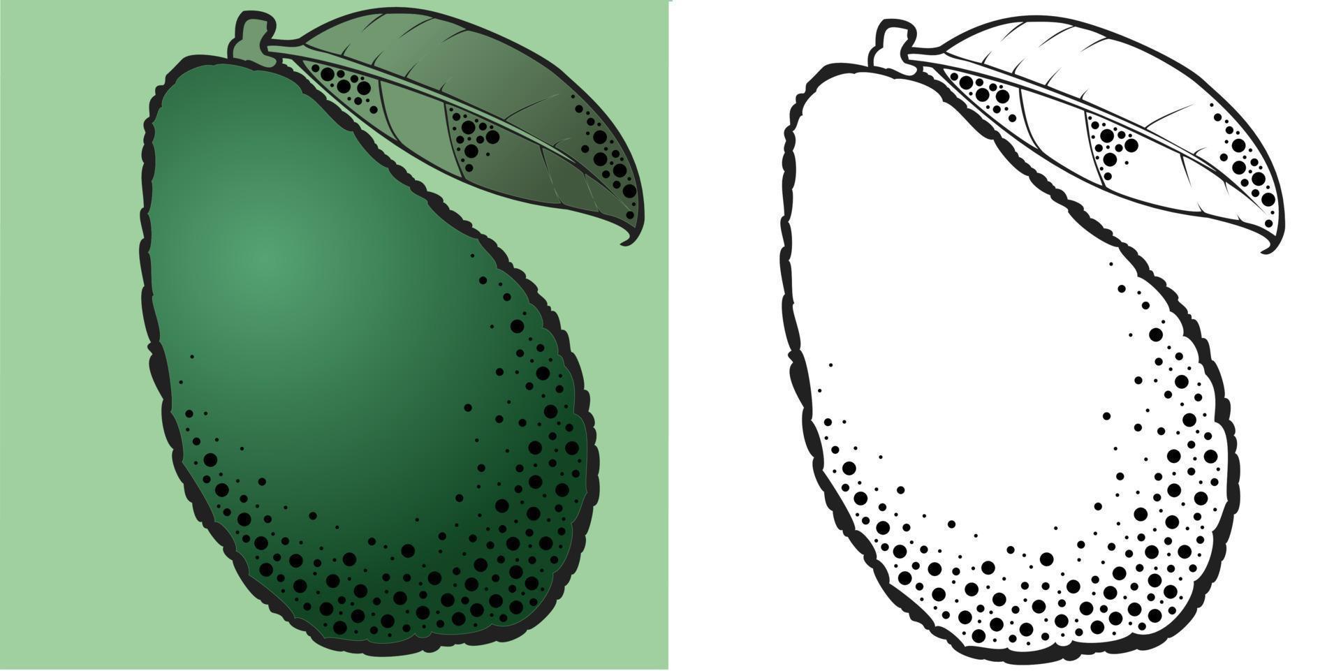 frutto di avocado maturo, una serie di illustrazioni monocromatiche e a colori vettore