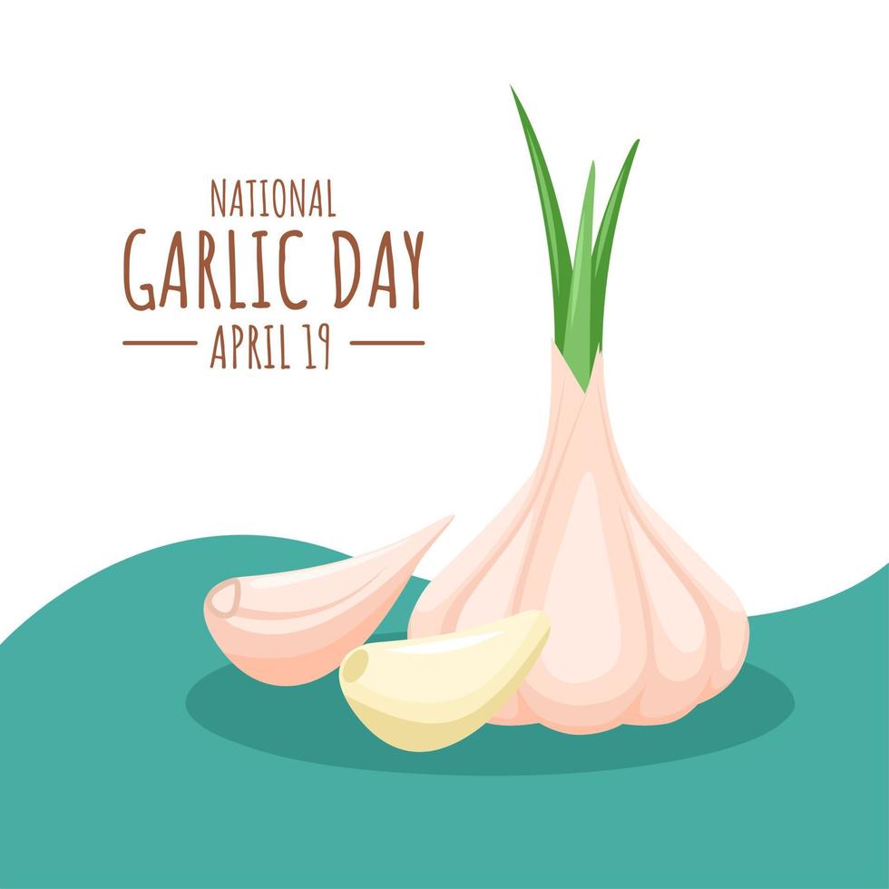 illustrazione vettoriale di aglio, prodotti del mercato agricolo, spezie ed erbe aromatiche. come modello o banner della giornata nazionale dell'aglio.