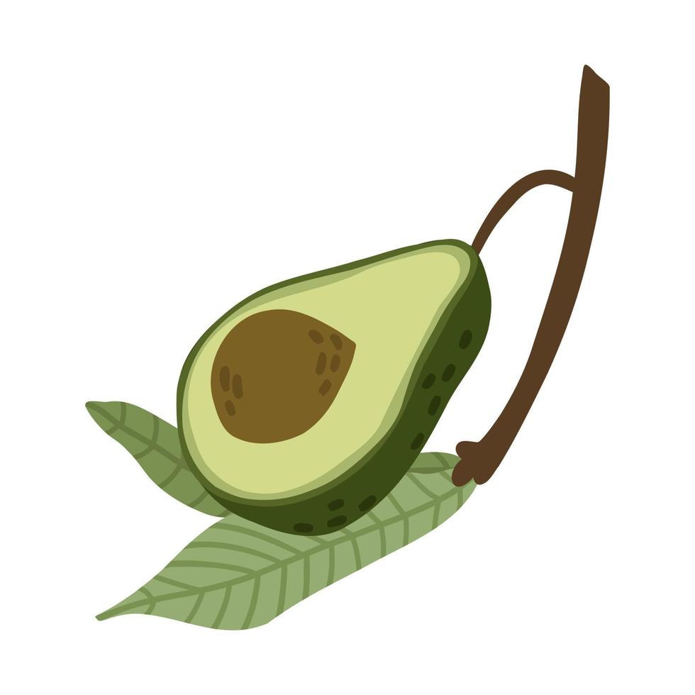 mezzo avocado disegnato a mano su un ramo con foglie in stile piatto. illustrazione vettoriale isolato su sfondo bianco.