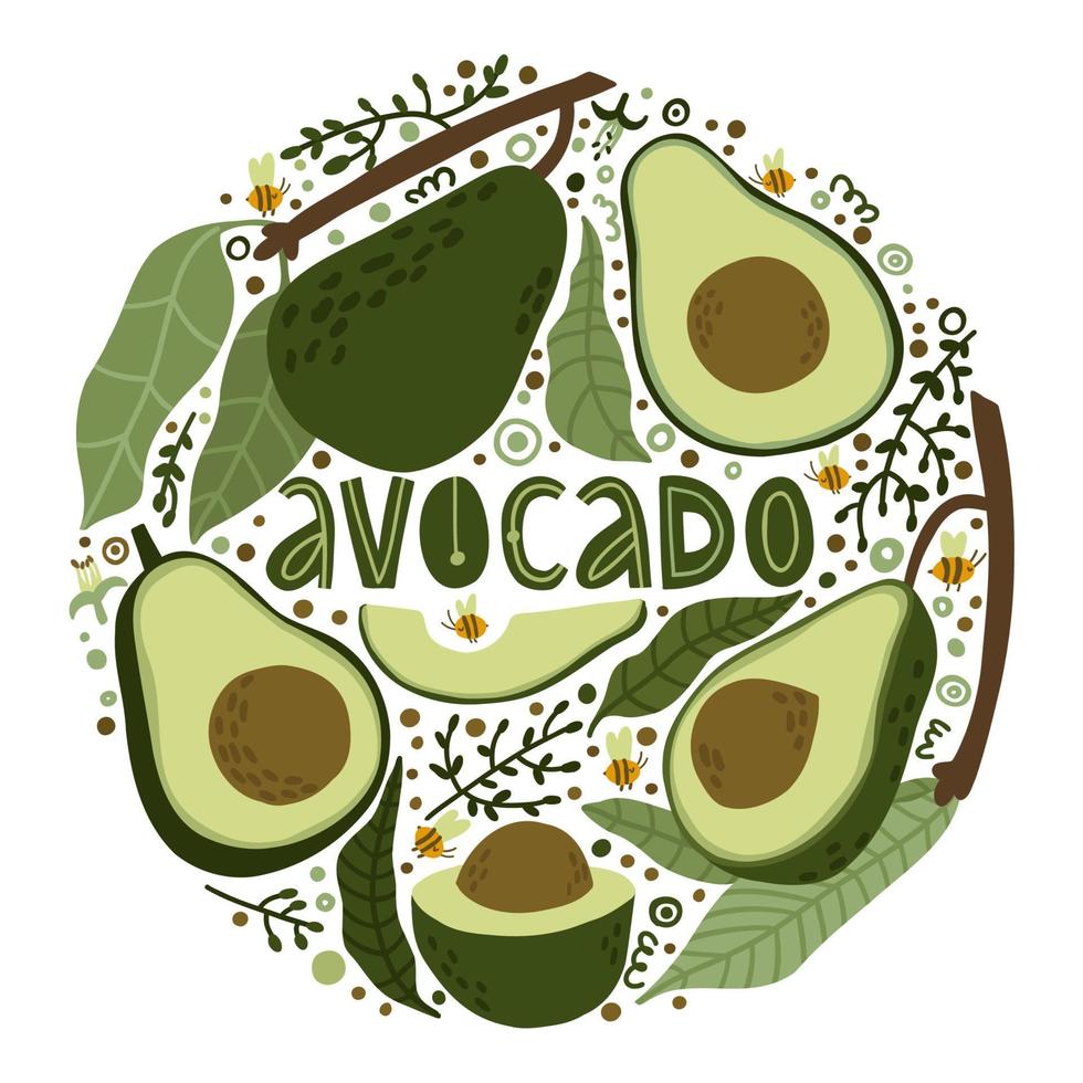 set con avocado su rami con foglie, metà di avocado, pezzi di avocado, fiori, api e boccioli. avocado disegnato a mano in stile piatto. illustrazione vettoriale. vettore